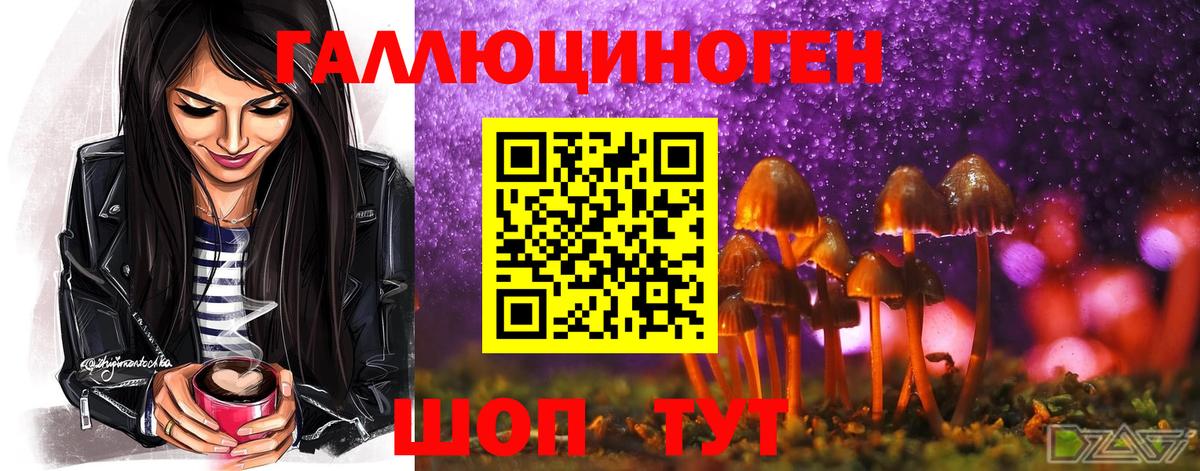 Лянтор  Галлюциногенные грибы ЛСД  Вход с VPN 