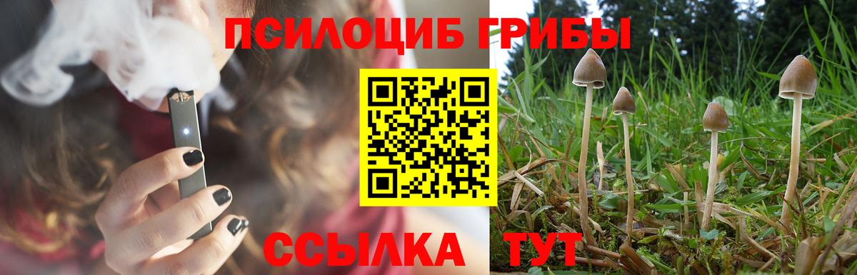 Галлюциногенные грибы прущие грибы Лянтор